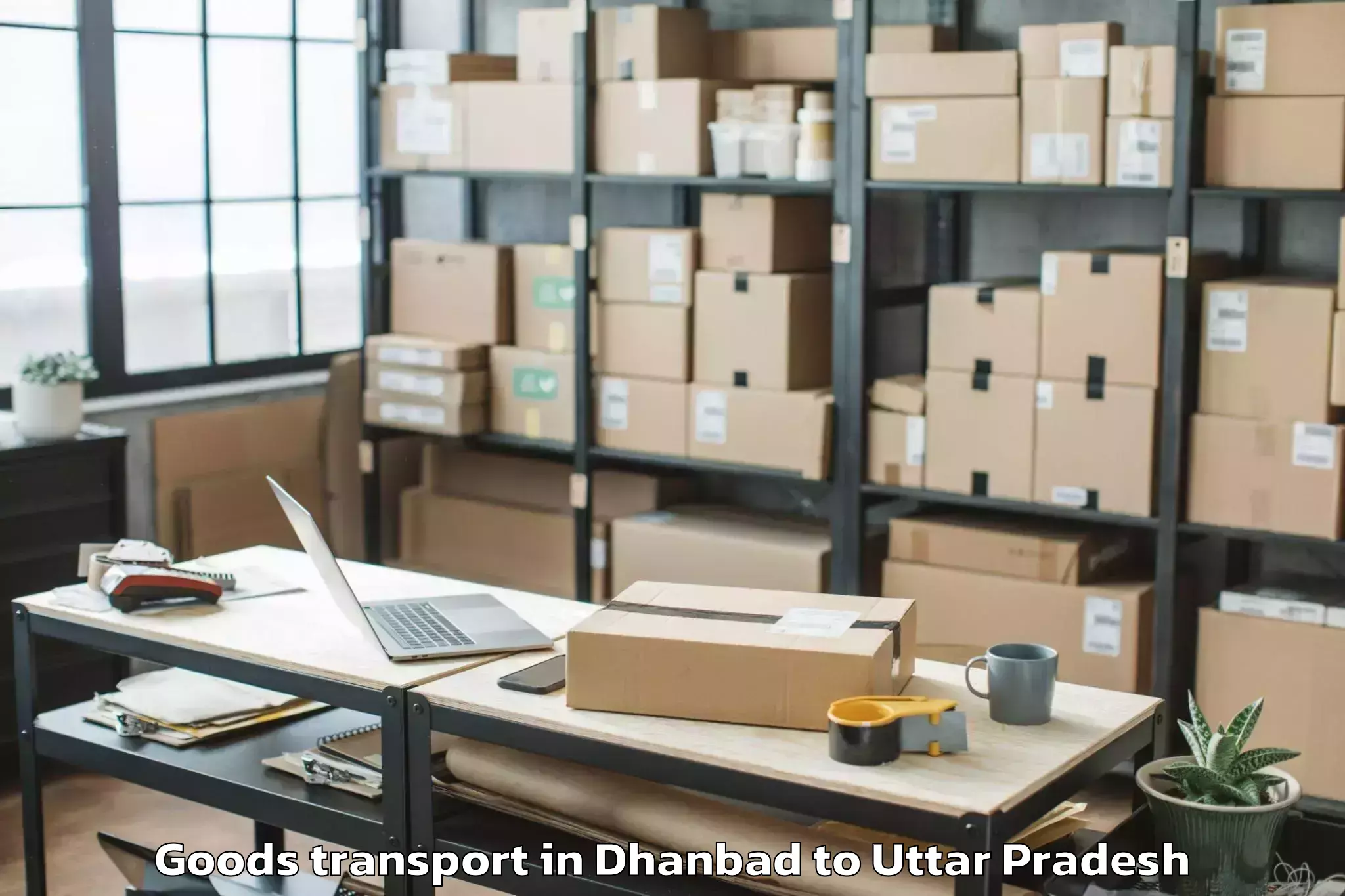 Efficient Dhanbad to Allahabad Goods Transport